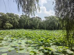 -北陵公园