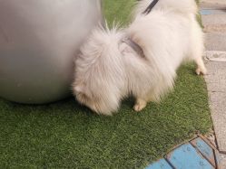 -萌宠亲子动物乐园(槐房万达店)