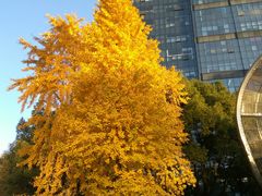 -海上海弘基休闲广场