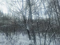 -庙香山滑雪场