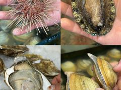 -小铜锣湾海鲜家常菜馆(河西店)