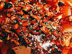 -雲蜀龙阁·金牌水煮鱼(方庄店)