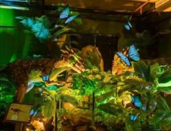 -恐龙探索乐园(磁器口店)