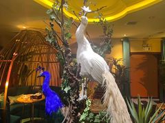 -泰谷玲抓龙筋SPA·泰式按摩(五一广场店)