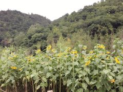 -贵阳市花溪国家城市湿地公园