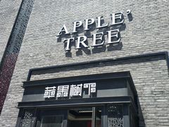 门面-苹果树下艺术餐厅(宋庄店)