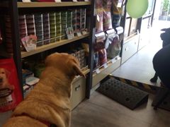 -PETKIT小佩宠物(古北店)