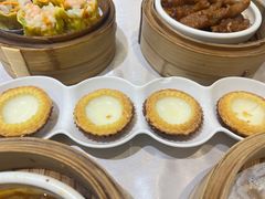金牌双皮奶蛋挞-味可道美食坊(福基路店)