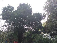 -晓港公园
