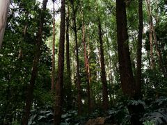 -南岗山公园