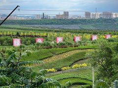 -抚顺煤矿博物馆