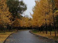 -中家鑫园温泉酒店鑫悦汤泉