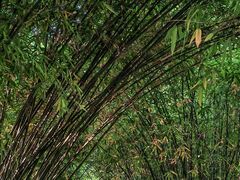 -堤角公园