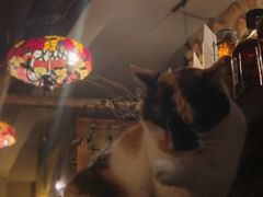 -BUND·FIVE外滩5号(天际店)