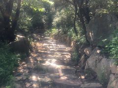 -阳台山自然风景区