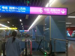 -大龙山(地铁站)