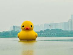 -深圳人才公园