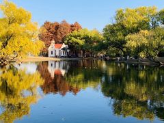 -上海共青森林公园