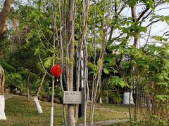 -广州神农草堂中医药博物馆