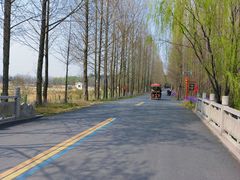 -日照海滨国家森林公园