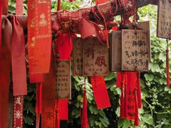 -小洲村