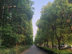 -金岛生态园烧烤露营地