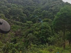 -洛阳白云山景区