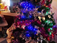 -橙天嘉禾影城(沈阳亿丰店)