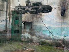 -无锡动物园·太湖欢乐园