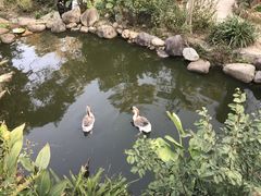 -厦门园林植物园-植物园滴水山房