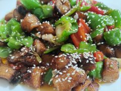 -煲来饱去冷水鱼