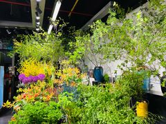 -双季花艺园艺市场(浦东店)