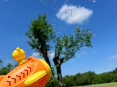 -上海共青森林公园