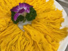 黄埔炒蛋-姚林轩