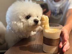 -沅江水·湖南家宴(南村万博长隆商圈店)