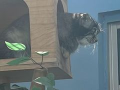 -青藏高原野生动物园