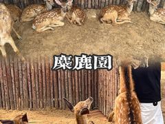-日照海滨国家森林公园