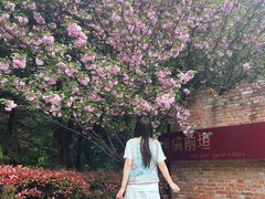 -武汉园博园(武汉自然博物馆)