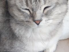 -平行世界·猫咖(首经贸店)