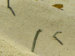 -上海海洋水族馆