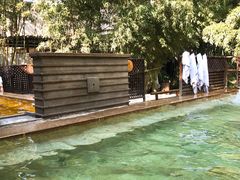 -春晖园度假酒店温泉