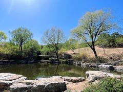 -北京西山国家森林公园