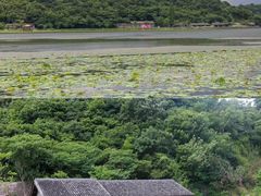 -东钱湖旅游度假区