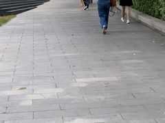 -中国移动南方基地