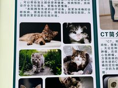 -乖乖宠物医院·猫科·急重症中心(车站北路分院)