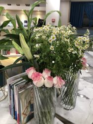 -酉嘉瑜伽YO+YOGA