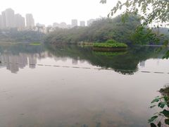 -重庆彩云湖湿地公园