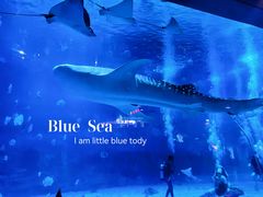 -烟台海昌鲸鲨海洋公园