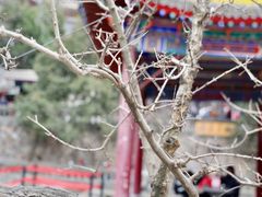 -华清宫景区