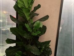 -虾胡闹龙虾馆(湄南河店)